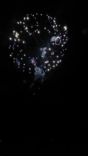 14.｢rotate｣ Fukuyama Fireworks #fireworks #花火 #花火大会 #高崎花火コンクール #福山花火工場