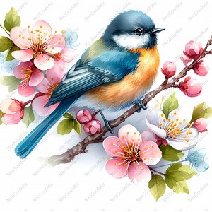 36 Floral Birds Clipart Bundle | Spring Birds Clipart | Blossom Bird Graphics | Birds on Branch Clipart | Digital Download,high Quality Jpgs - Etsy