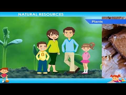 Natural Resources class-5