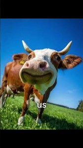 You and your Twin Flame can seem really different on the surface, but you are perfect complements.