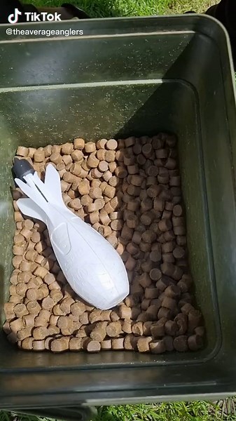 The Ultimate Guide to Carp Fishing: Tips, Techniques, and Gear