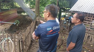 At Tay Pekoy Native Chicken Farm. . . | Philippine Native Chicken