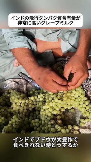 インドのぶどうスムージーと飛ぶタンパク質