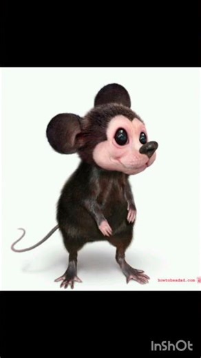 Mickey Mouse in Real Life – You Won’t Believe This! 🤯