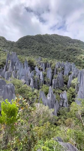 Exploring the Pinnacles of Mount Api in Sarawak, Borneo