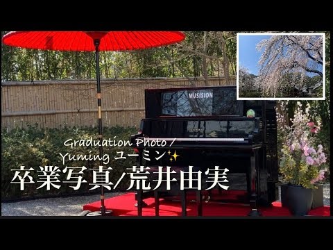 枝垂れ桜満開♫あなたは私の青春そのもの…卒業写真/荒井由実(ユーミン)🌿English Lyrics⬇️歌詞有りYuming Graduation Song