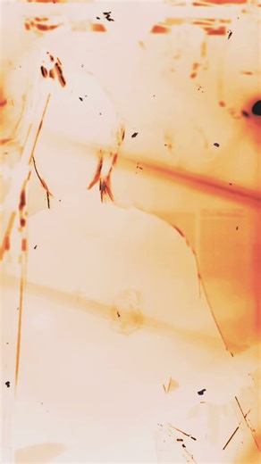 Baggy Jeans: スタイルの進化とおすすめコーデ