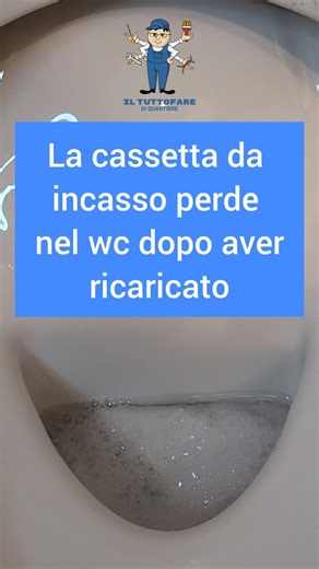 Lo sciacquone da incasso perde acqua dopo aver ricaricato? Vediamo cosa fare Video completo su youtube: https://youtu.be/W6tY_TdbFHE Per informazioni contattateci su Facebook, Youtube, Tik Tok o via whatsapp al 3514584291 #idraulica #idraulico #idraulicodifiducia #Geberit #sciacquone #tuttofare #tuttofarediquartiere #faidate #faidatecasa #manutenzioni #cataldisword #cataldisworld #aggiustatutto #casa #WC #bagno | Il tuttofare di quartiere