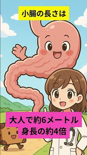 『人間のおもしろ内臓雑学』５選