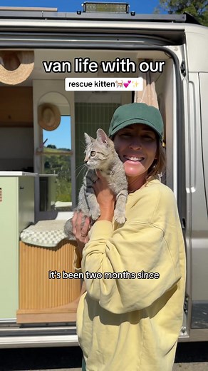 trash kitten update: she seems to be thirving in her new life as a van cat! #vanlife #vanlifewithpets #rescuecat #kittens