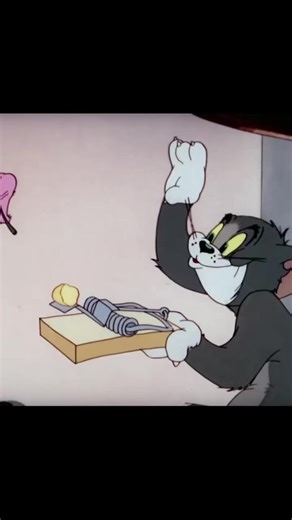 Tom in Action: Classic Cartoon Moments