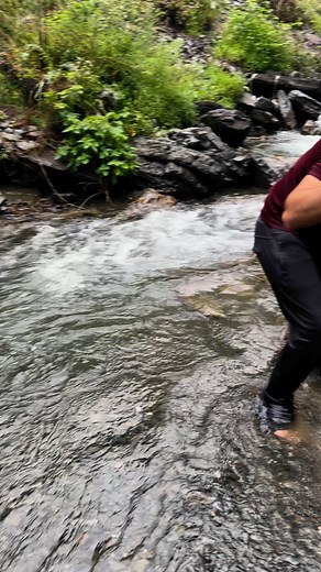 Using net as a trap for catching the trapped fish with hand #fish #trout #fishing | Its Fishing Time