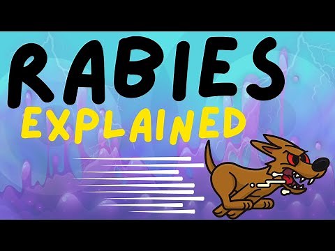 WHAT IS RABIES? RABIES EXPLAINED IN 3 MINUTES - CAUSE, SYMPTOMS, DIAGNOSIS AND TREATMENT