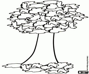 The tree begins to lose leaves coloring page printable game