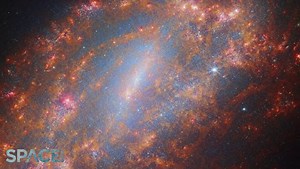 James Webb Space Telescope captures barred spiral galaxy NGC 1559