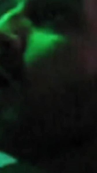 Ghost Of Me - Metalcore Lyrics Video