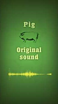 Animal Pads - Free Decent Sampler instrument