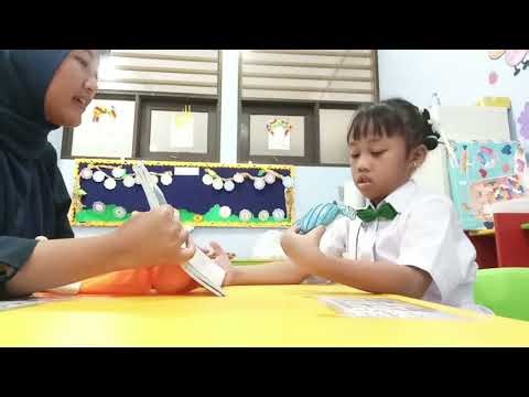 Preference Assesmen. Multiple stimulus without replacement (MSWO)