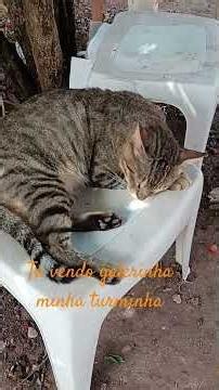 2 de junho de 2026
