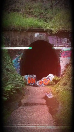 Most Quit When Progress Gets Boring #Goals #Psychology