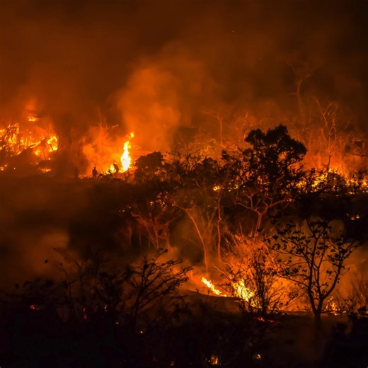 🔥 Don’t Let a Small Spark Start a Big Fire! 🔥 One careless act like throwing a cigarette butt or matchstick on the ground can start a devastating fire in just seconds. Dry grass, leaves, and even a light breeze can turn that tiny ember into a fast-moving blaze that endangers lives, homes, and the environment. 🚭 Never Throw Cigarette Butts or Matches on the Ground: ✅ Always extinguish cigarettes completely before disposal. ✅ Use designated ashtrays or metal containers to safely put out and thr