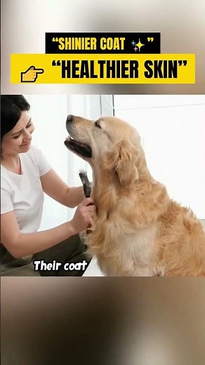 What Wet Food Does to Your Dog Every Day 😳🐶
