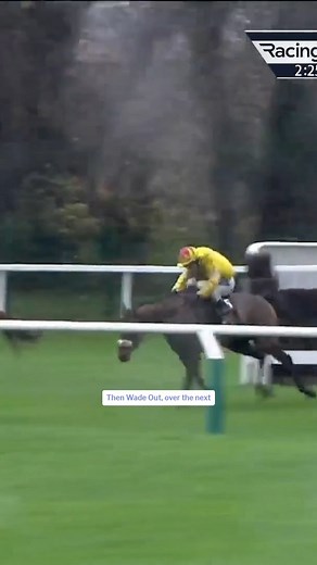 What a ride this is. Sensational from Sean Bowen at Cheltenham today 👏 | Racing TV