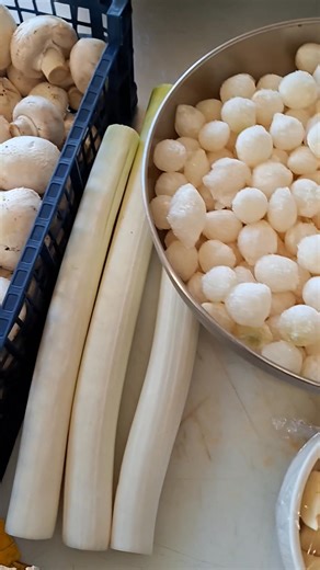 2.2K views · 15 reactions | De la Joue de Cochon, Galta de Porc pour la traduction. Cette Galta donc est cuisinées Champignons et Vin Blanc et accompagnées de riz Parfumé. Venez déguster notre nouveau Café Gourmand. Bon profit a tothom I qué tot vaji. | Brasserie des Halles 66 | Facebook