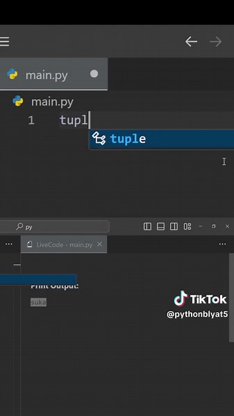 Top Python Teacher for Coding Enthusiasts
