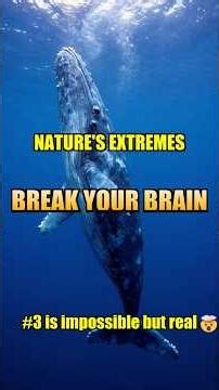 Nature's Most Extreme Records That Will Break Your Brain #Shorts