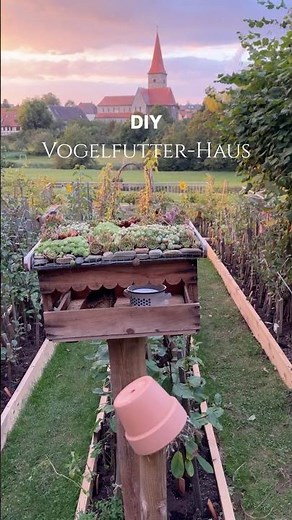 DIY Vogelhaus / Futterhaus / Vogelfutterhaus mit Dachbegrünung aus alter Weinkiste selbstgemacht