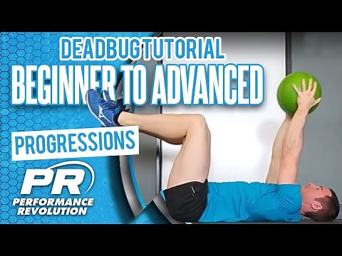 Dead Bug Tutorial – Beginner to Advanced