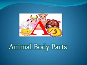 Animal Body Parts - SlideServe