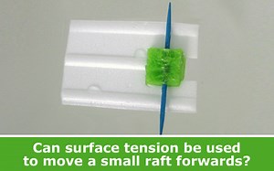 Powering a Raft with Surface Tension: Weekly Science Activity | Science Buddies Blog