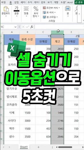 엑셀 셀 숨기기 이동옵션으로 한번에 숨기는 방법