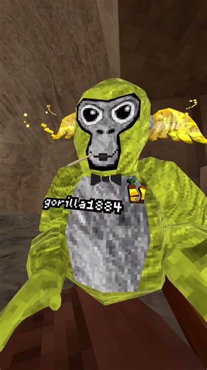 Day 2 of joining my fan code #gorillatagquest #gorillatag #vr #gtag