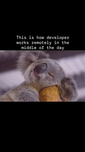 Developer Weirdness | IT humor | This is how developer works remotely in the middle of the day | | | | #webdevelopment #frontend #backend #javascript #typescript #reactjs... | Instagram