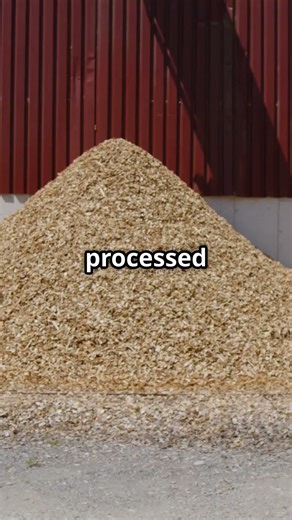 Waste to Energy! #CleanEnergy #Waste #SustainableFuel #Energy #Shorts #learn #viral