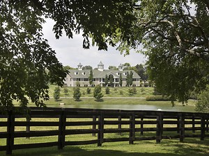 1 Bedroom Apartments for Rent in 40383, Versailles, KY