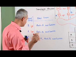 Hematology Lecture 1 Blood Transfusion Reaction Part 2/3