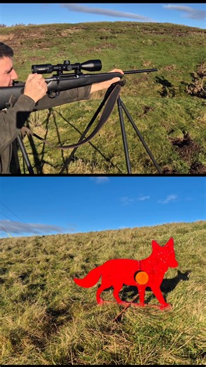 Shooting @toms targets reactive fox with the .270 #professionalpestcontroller #rifleshooting #viral #pestcontrol #Vermin #headshots #huntinglife | vermin control Scotland
