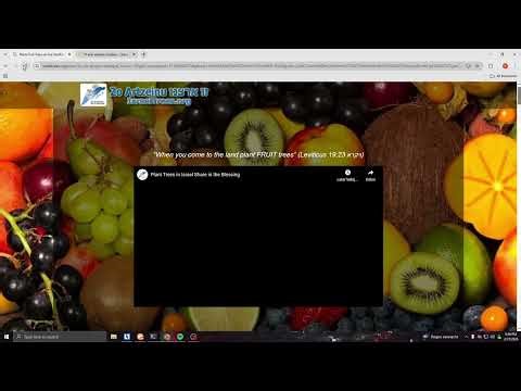 ARASHI BOTNET #seller | Best Botnet DDos TOOL | C2 ddos attacks | Telegram #china #ddos #botnet