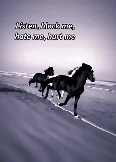 Horses Galloping on the Beach: A Dynamic Display of Freedom