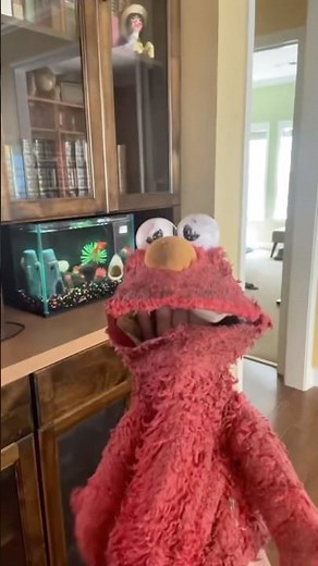 elmo world carrots kids