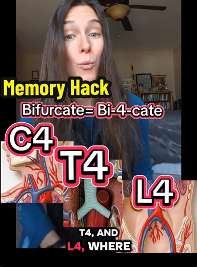 Effective Memory Hacks for Anatomy Learning