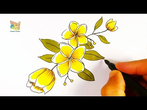 comment dessiner une fleur de tiaré tahiti