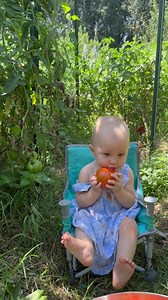 Picking vegetables from the garden | CookingwithSammy
