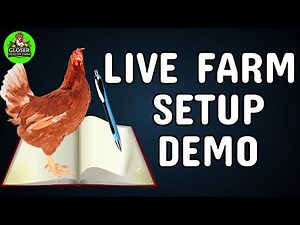 How to Start a Poultry Farm & Make Profit – Full Breakdown with a Live Calculator