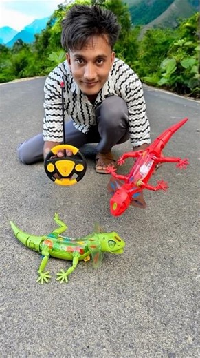 RC Duita Remote Control Lizard Testing