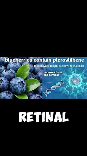 Secret Eye Benefits of Eating Blueberries Daily#BlueberriesForEyesight#VisionNutrition#HealthyEyes